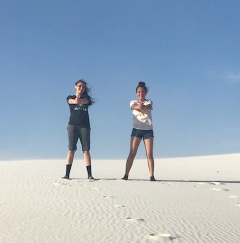 Meet your Posher, Dannay